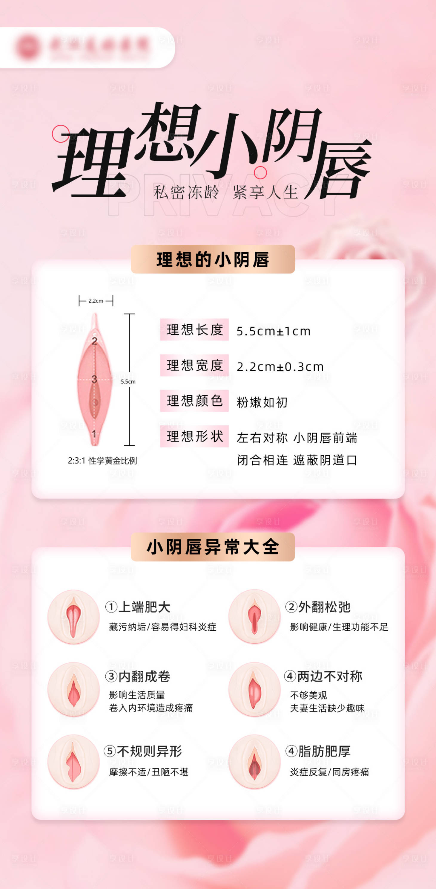 源文件下载【享设计】搜索编号：67060033997375187【私密】