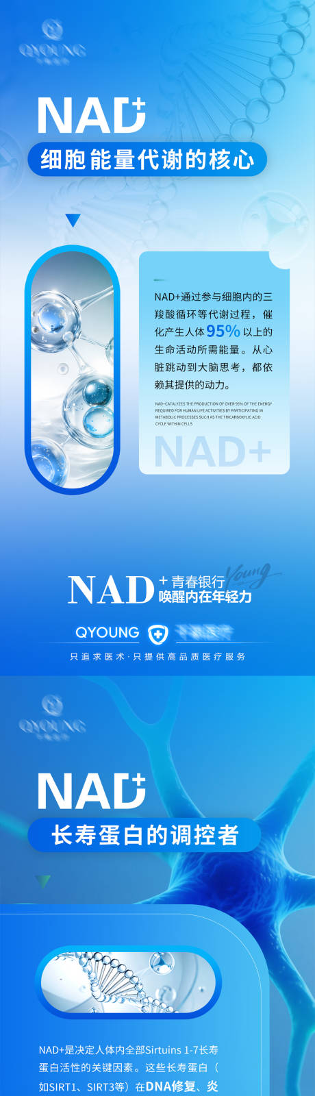 源文件下载【享设计】搜索编号：89690034103313088【NAD+科普海报】