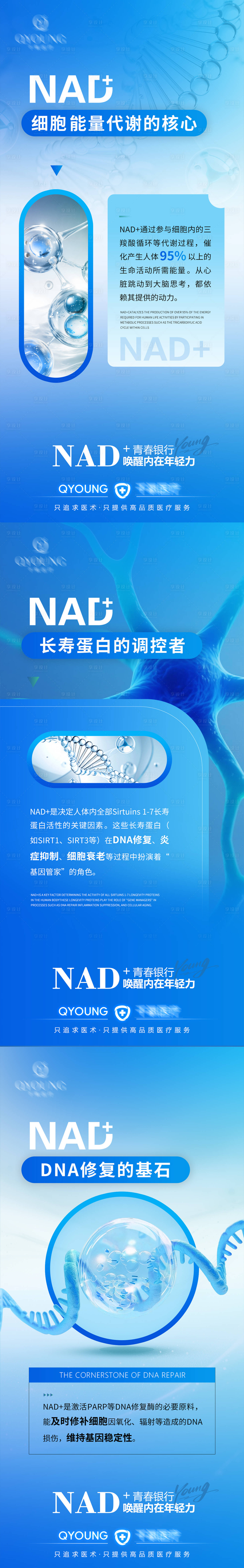 源文件下载【享设计】搜索编号：89690034103313088【NAD+科普海报】