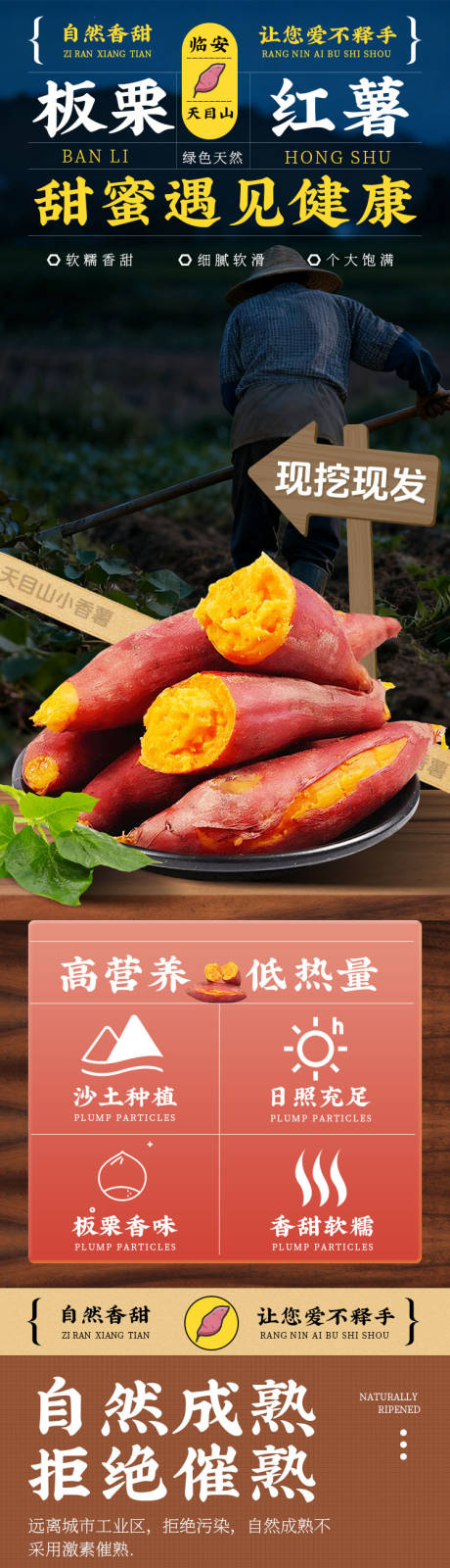 源文件下载【享设计】搜索编号：74690033927124584【红薯】