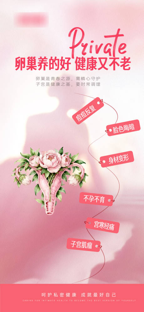 源文件下载【享设计】搜索编号：21640033916179731【卵巢保养私密抗衰海报】