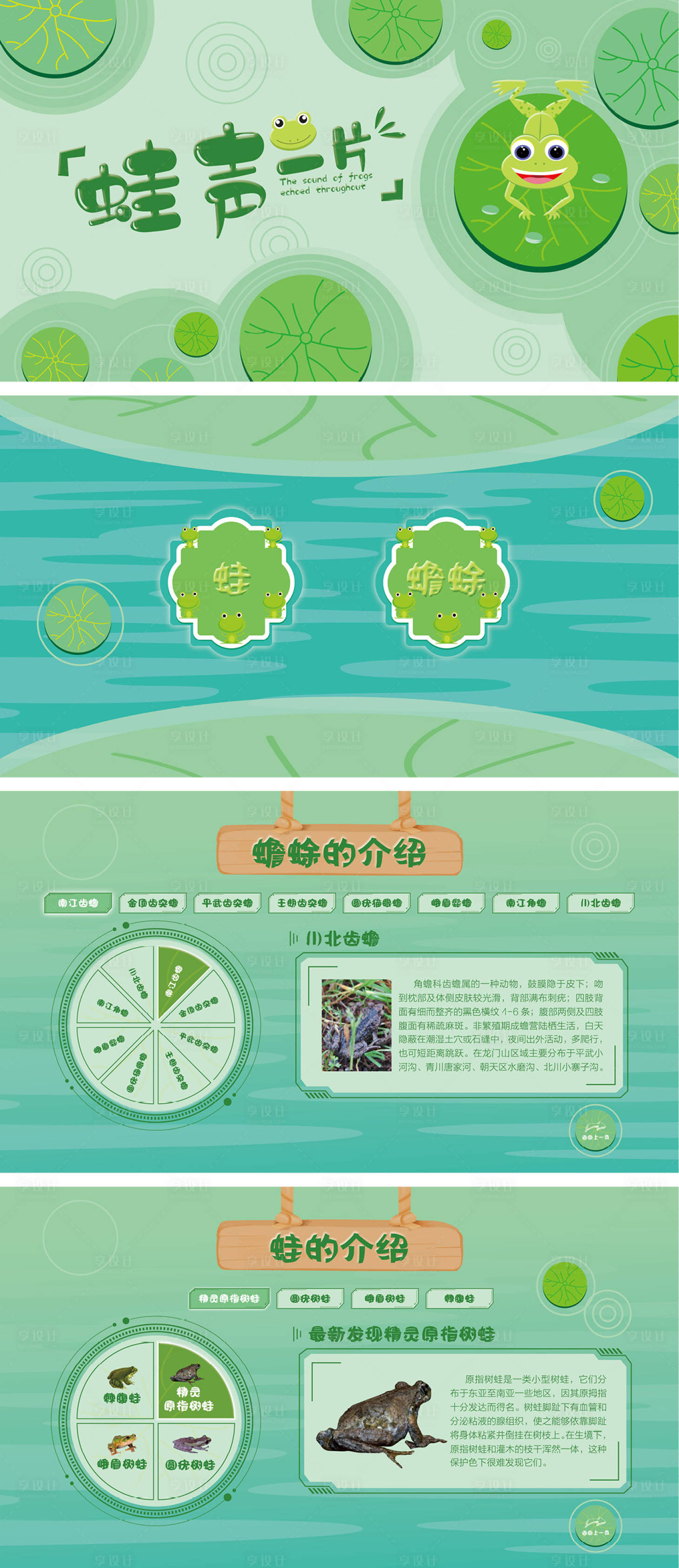 源文件下载【享设计】搜索编号：87020033833818938【动物科普课件】