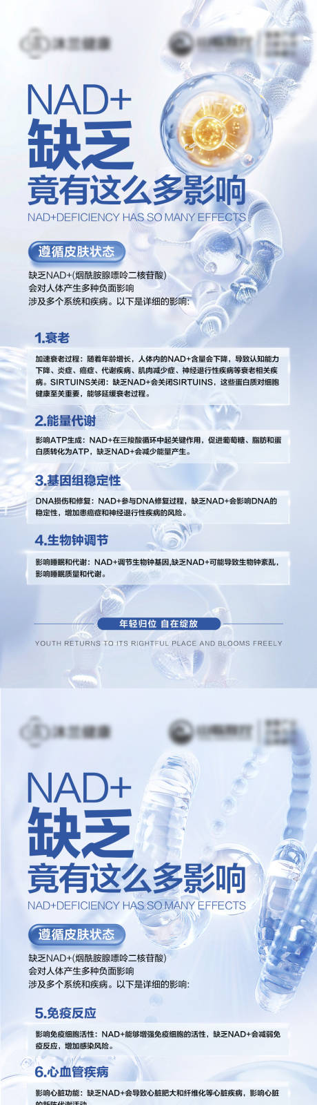 源文件下载【享设计】搜索编号：95330034227216949【NAD+】