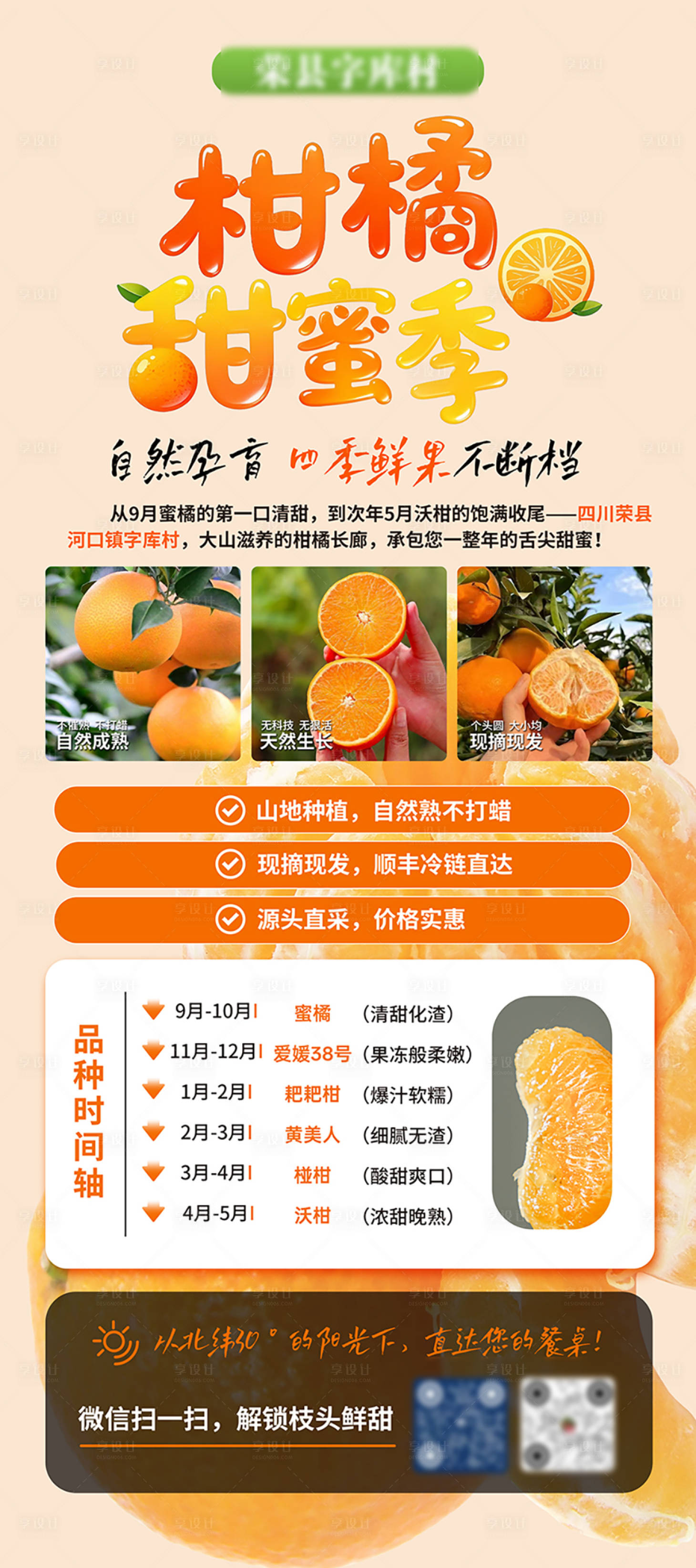 源文件下载【享设计】搜索编号：41810033849871284【柑橘展架】