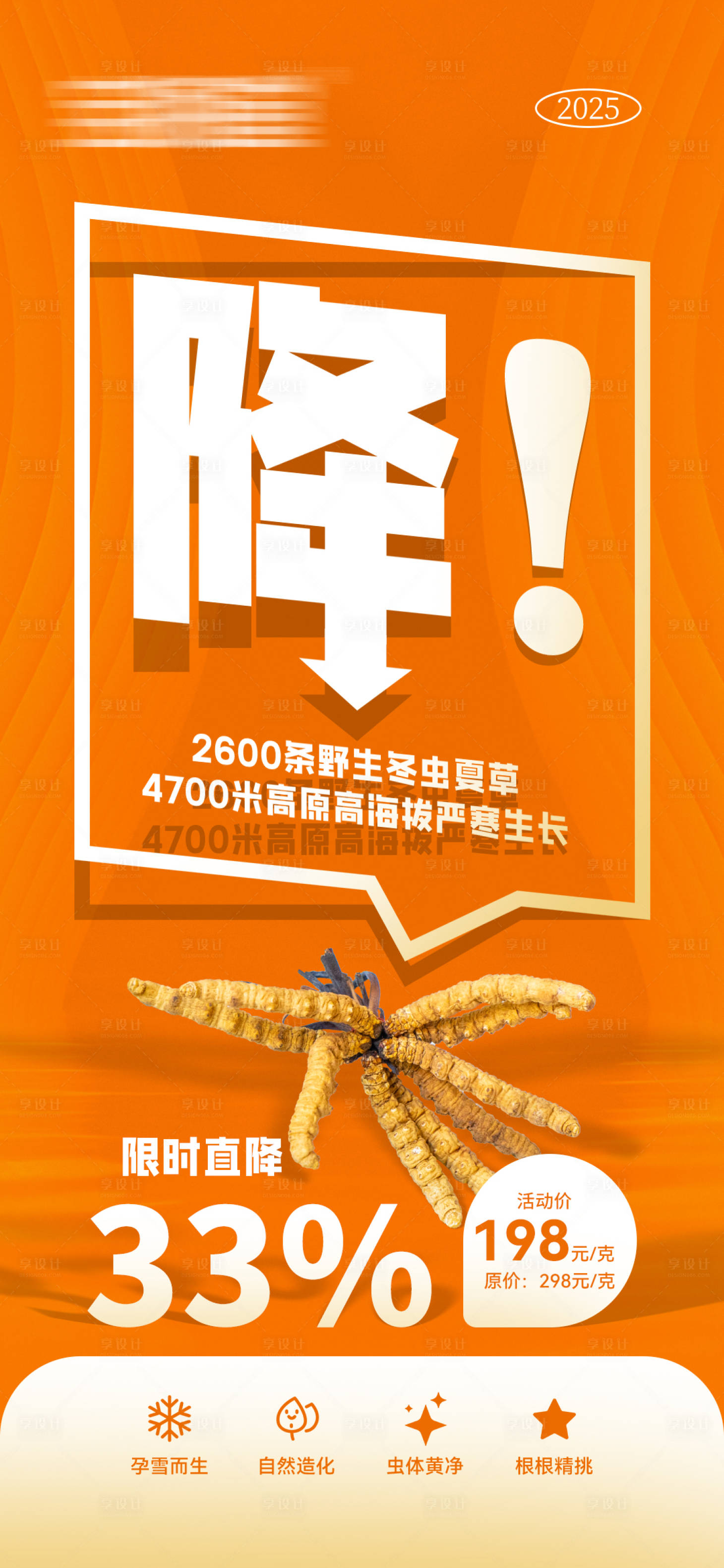 源文件下载【享设计】搜索编号：22880033924389634【冬虫夏草草药直降海报】