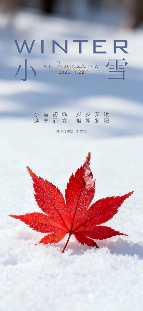 源文件下载【享设计】搜索编号：51720033984732506【小雪海报】