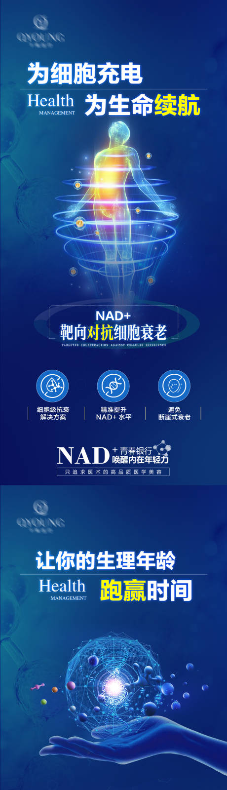 源文件下载【享设计】搜索编号：30260034134799185【NAD+科普海报】