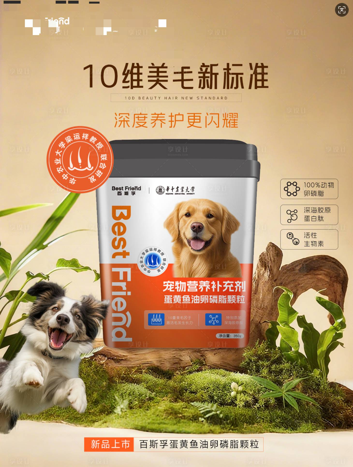 源文件下载【享设计】搜索编号：77740034096207952【简洁宠物粮食上市海报】