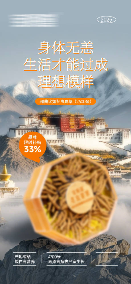 源文件下载【享设计】搜索编号：29380033924427581【西藏虫草礼品海报】