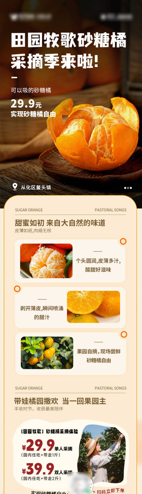 源文件下载【享设计】搜索编号：27180034258313912【砂糖橘微信长图海报】