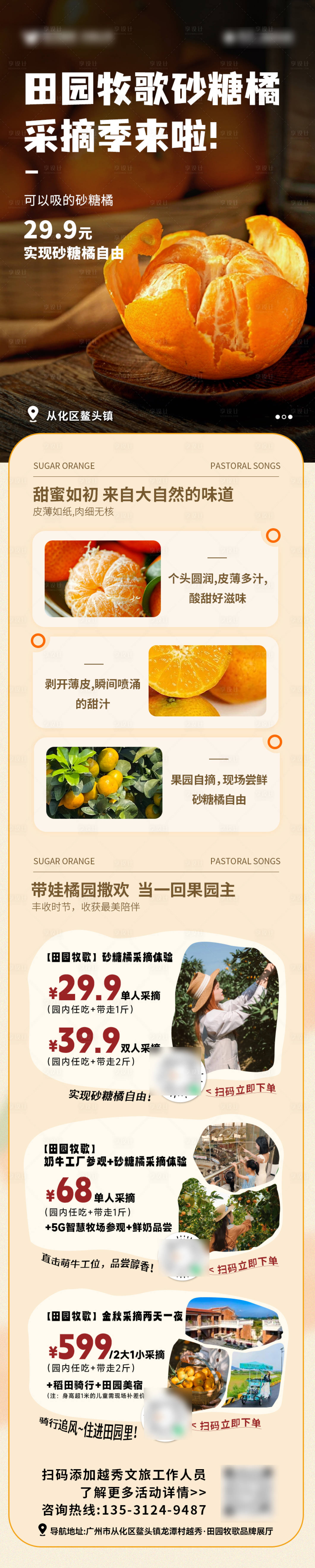 源文件下载【享设计】搜索编号：27180034258313912【砂糖橘微信长图海报】