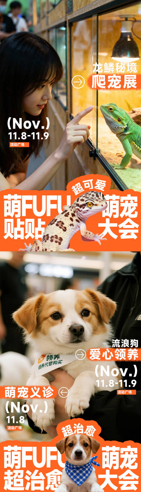 源文件下载【享设计】搜索编号：95670033869719638【商场宠物活动海报】