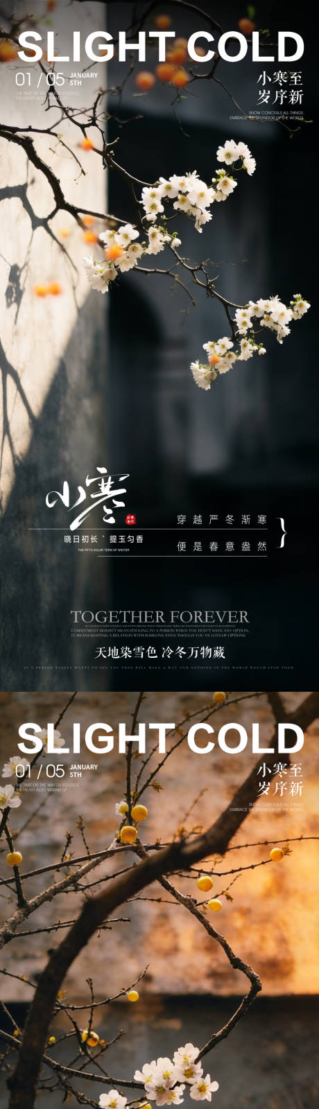 源文件下载【享设计】搜索编号：16130034693501036【小寒房地产风景系列海报】