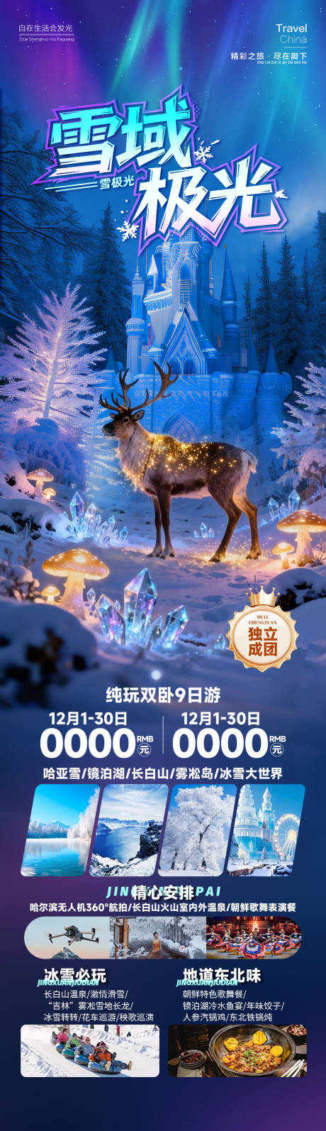 源文件下载【享设计】搜索编号：66960034675899291【雪域极光东北长图海报】