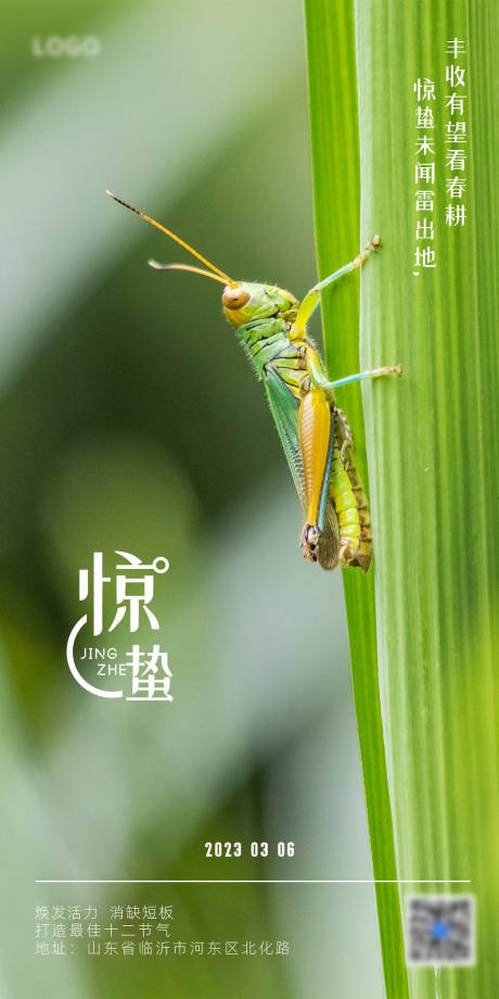 源文件下载【享设计】搜索编号：98790015140902193【惊蛰节气海报】