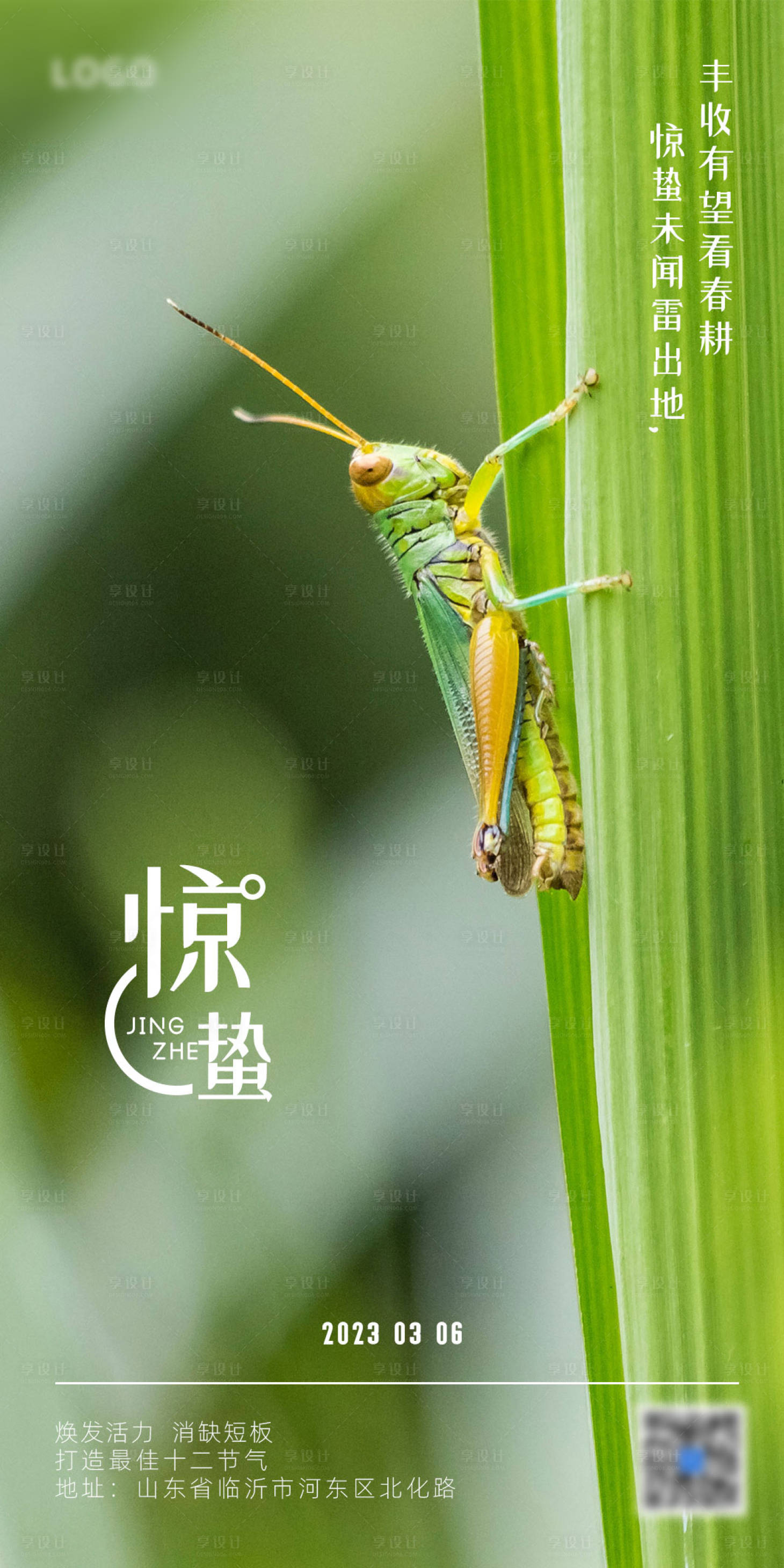 源文件下载【享设计】搜索编号：98790015140902193【惊蛰节气海报】