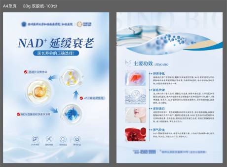 源文件下载【享设计】搜索编号：65270034284512984【医疗生物单页】