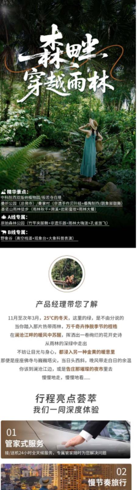 源文件下载【享设计】搜索编号：77770034345221098【穿越雨林旅游电商详情页】