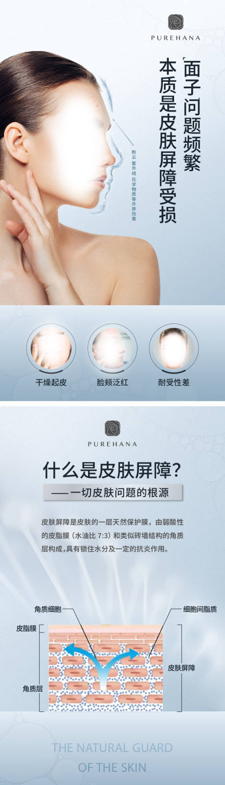 源文件下载【享设计】搜索编号：80360034640643706【化妆品皮肤科普系列海报】