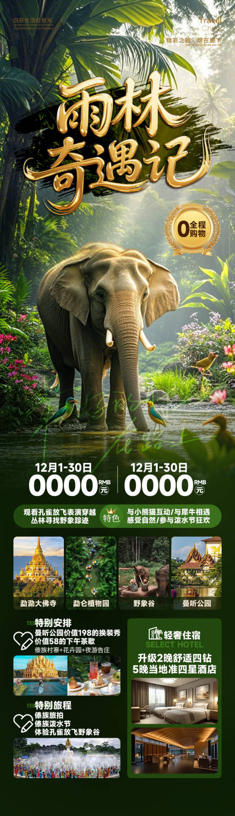 源文件下载【享设计】搜索编号：11360034655638651【雨林奇遇记】