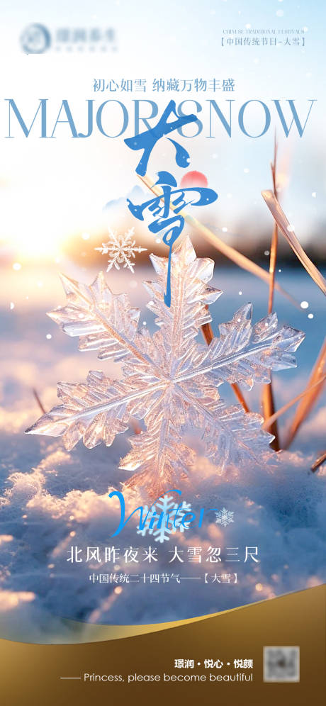 源文件下载【享设计】搜索编号：72550034350437350【美业中国传统二十四节气大雪】