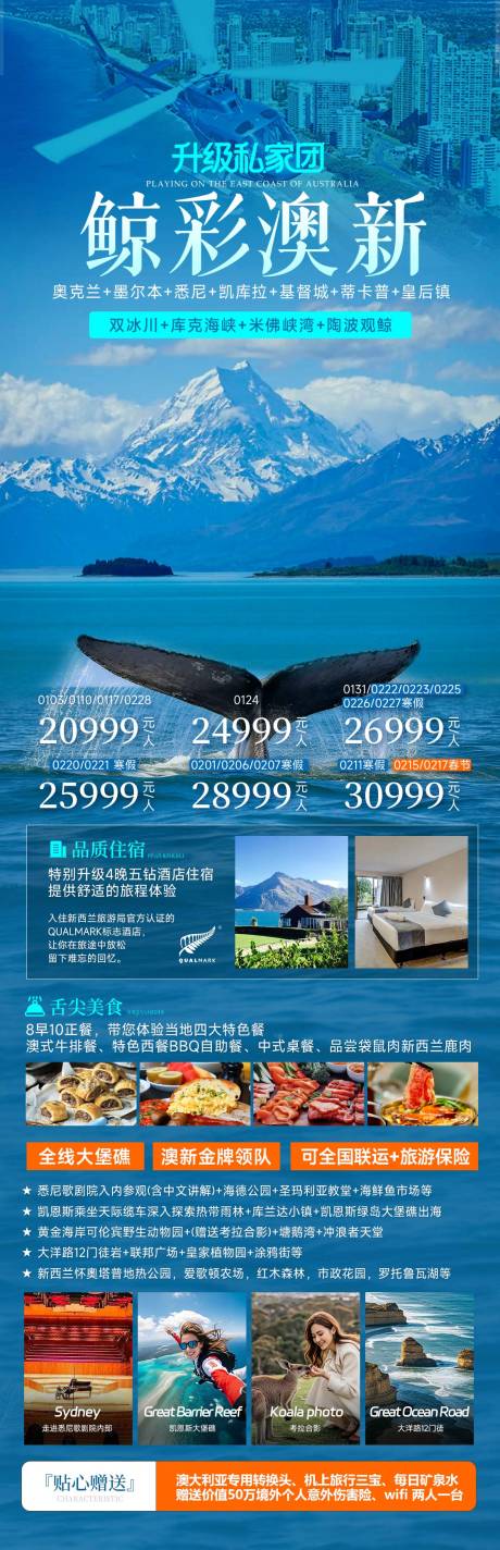 源文件下载【享设计】搜索编号：94560034466438319【澳大利亚新西兰观鲸旅游海报】
