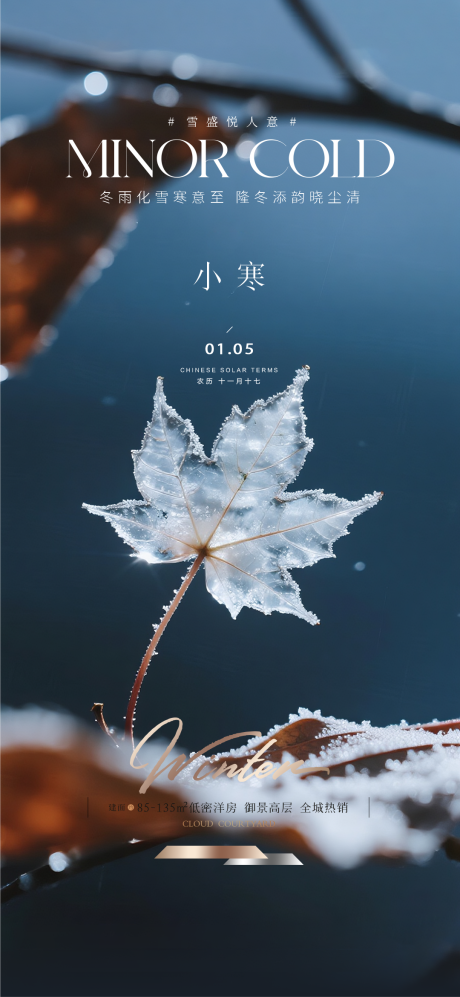 源文件下载【享设计】搜索编号：45510034299075046【地产小寒质感海报】