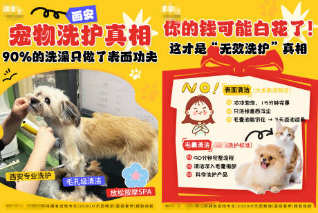 源文件下载【享设计】搜索编号：46650034718157037【宠物游玩寄养插画海报展板】