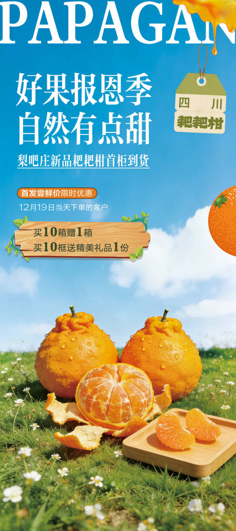 源文件下载【享设计】搜索编号：42410034710989104【耙耙柑上市展架】