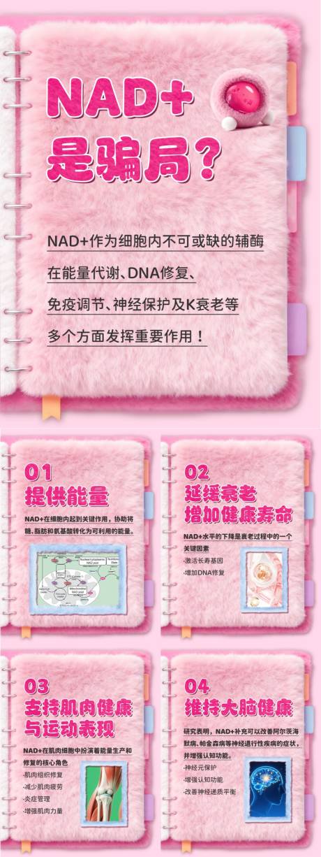 源文件下载【享设计】搜索编号：58960034333141479【小红书nda科普系列海报】