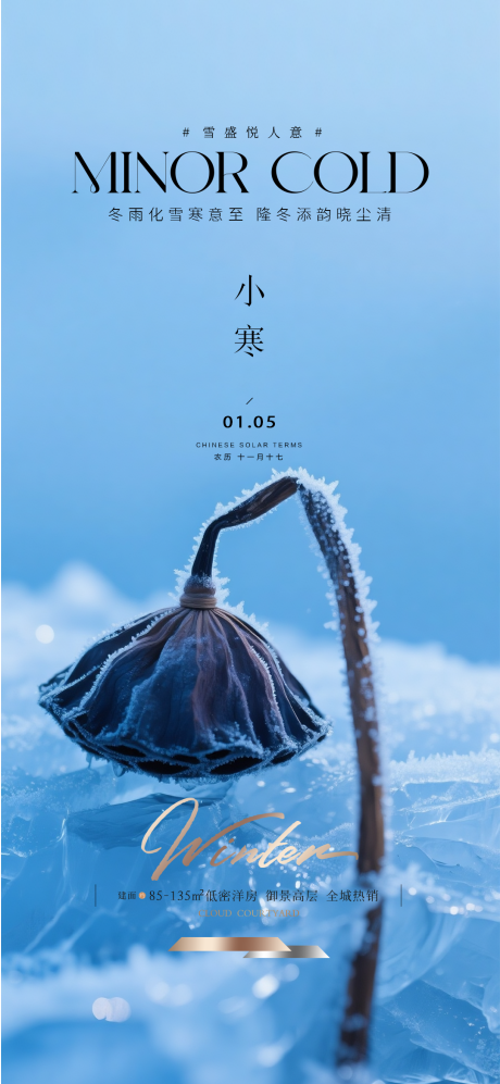 源文件下载【享设计】搜索编号：17450034320533834【地产小寒质感海报】