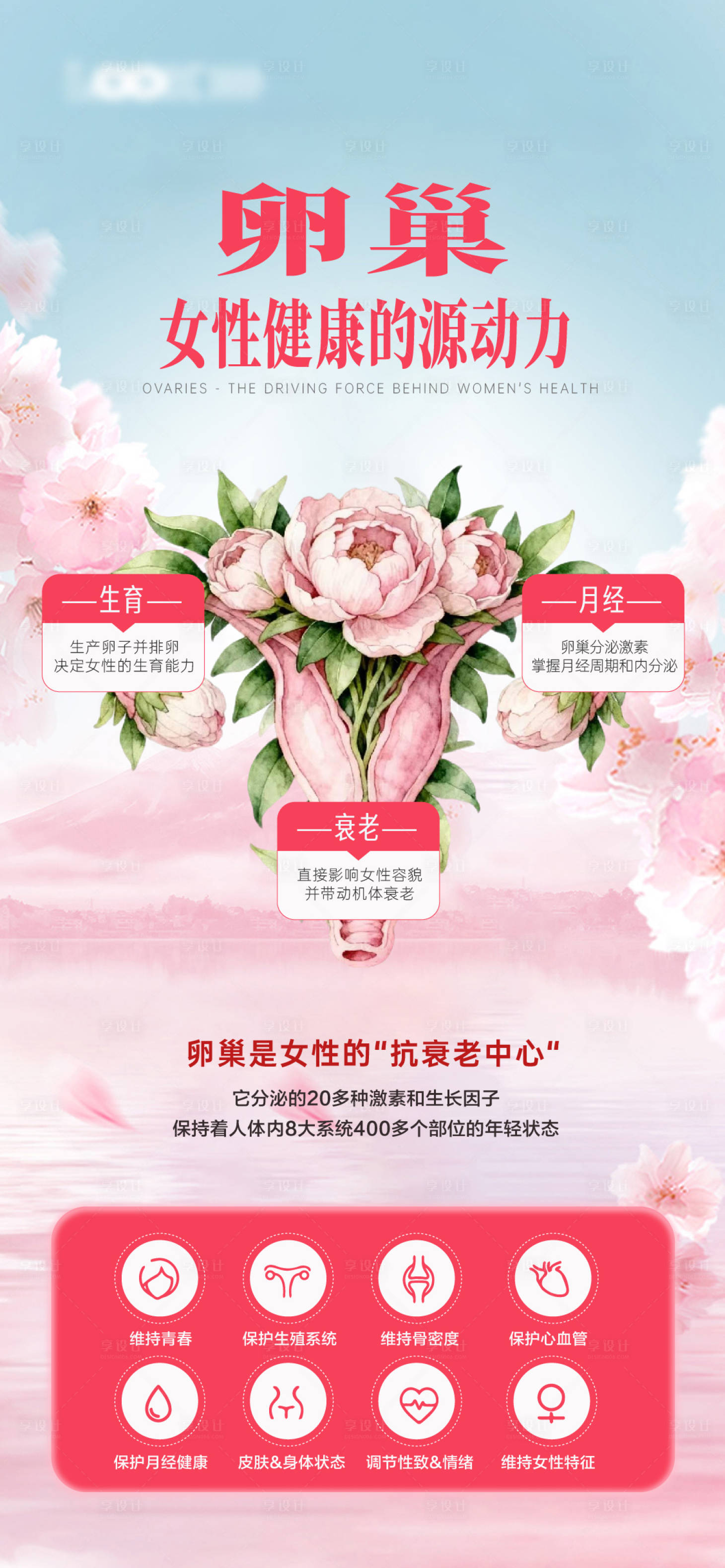 源文件下载【享设计】搜索编号：68410034451343953【私密朋友圈卵巢海报】