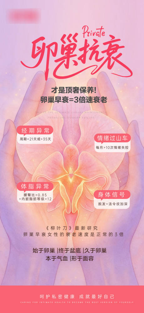 源文件下载【享设计】搜索编号：68880034424069103【卵巢保养私密抗衰海报】