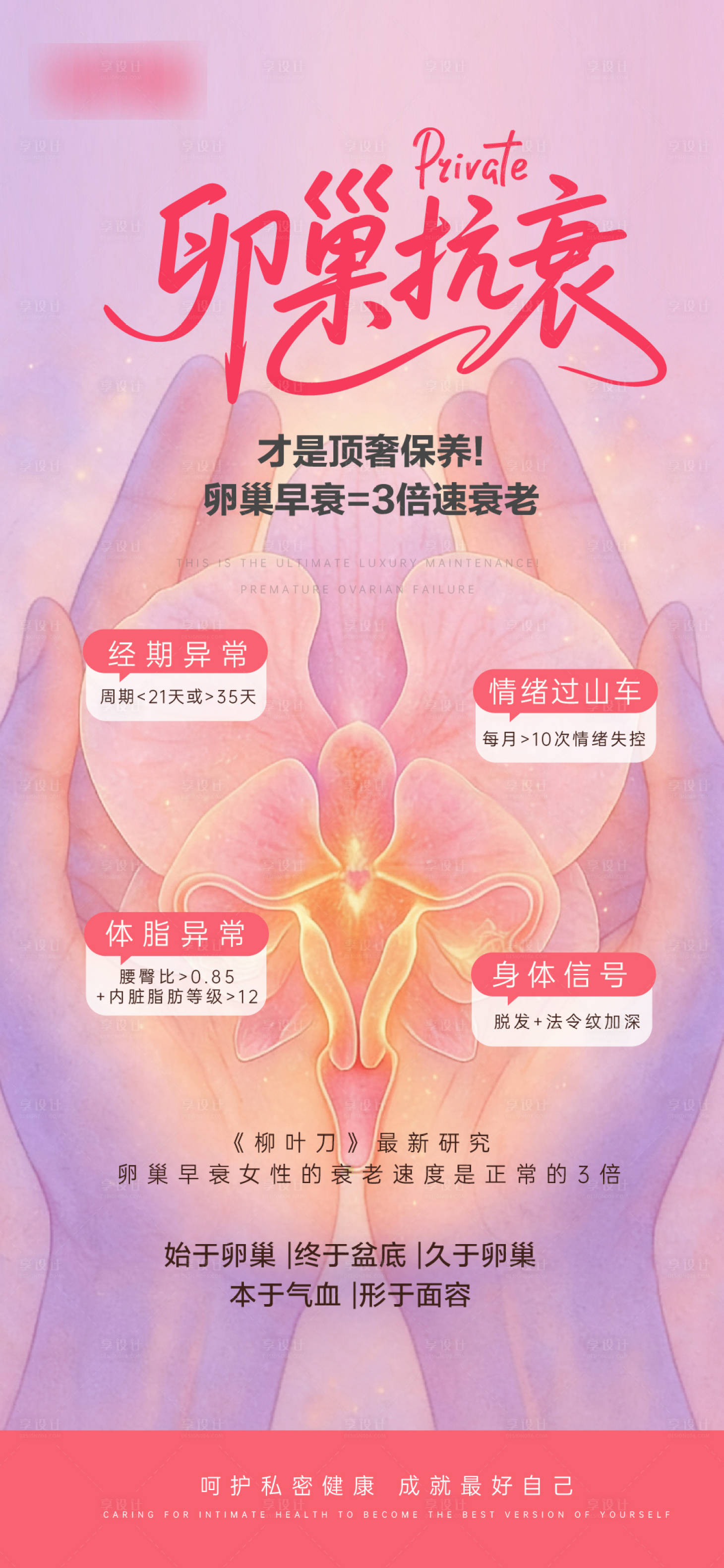 源文件下载【享设计】搜索编号：68880034424069103【卵巢保养私密抗衰海报】