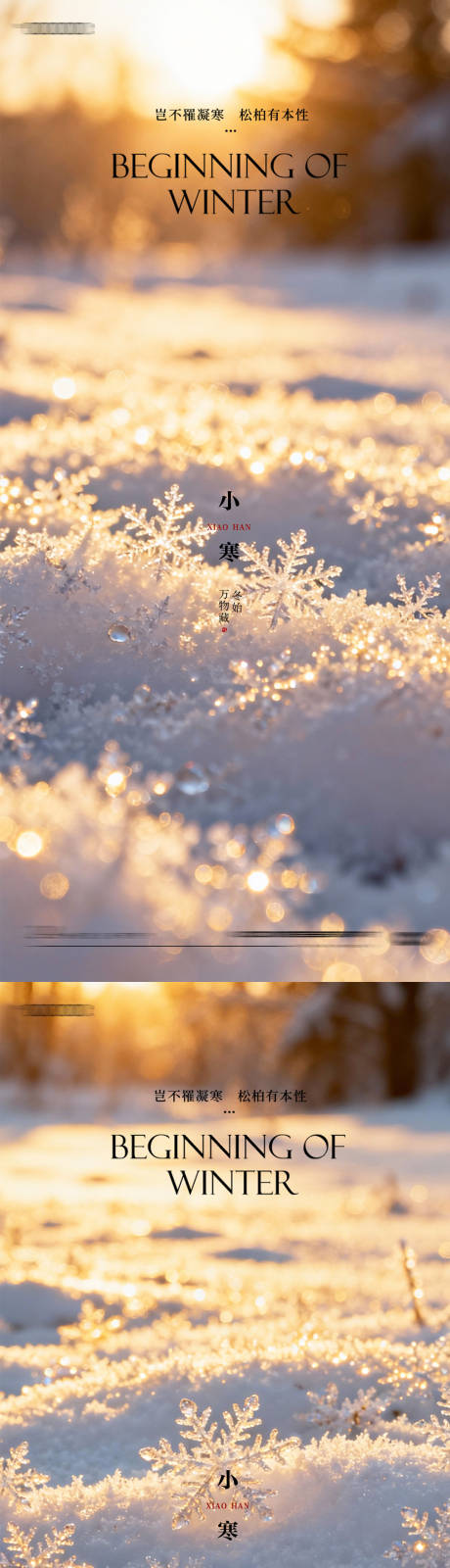 源文件下载【享设计】搜索编号：29090034744164847【小寒大寒小雪大雪】
