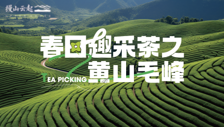 源文件下载【享设计】搜索编号：60130034513926781【春日采茶主K】