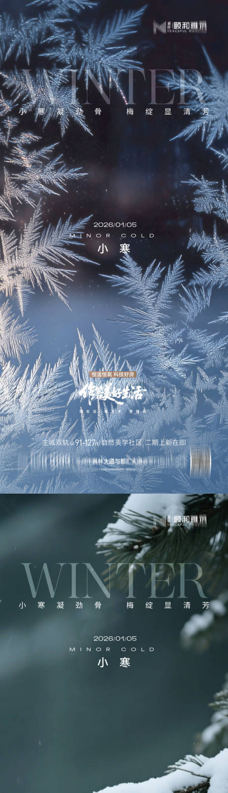 源文件下载【享设计】搜索编号：95880034771828541【小寒海报】