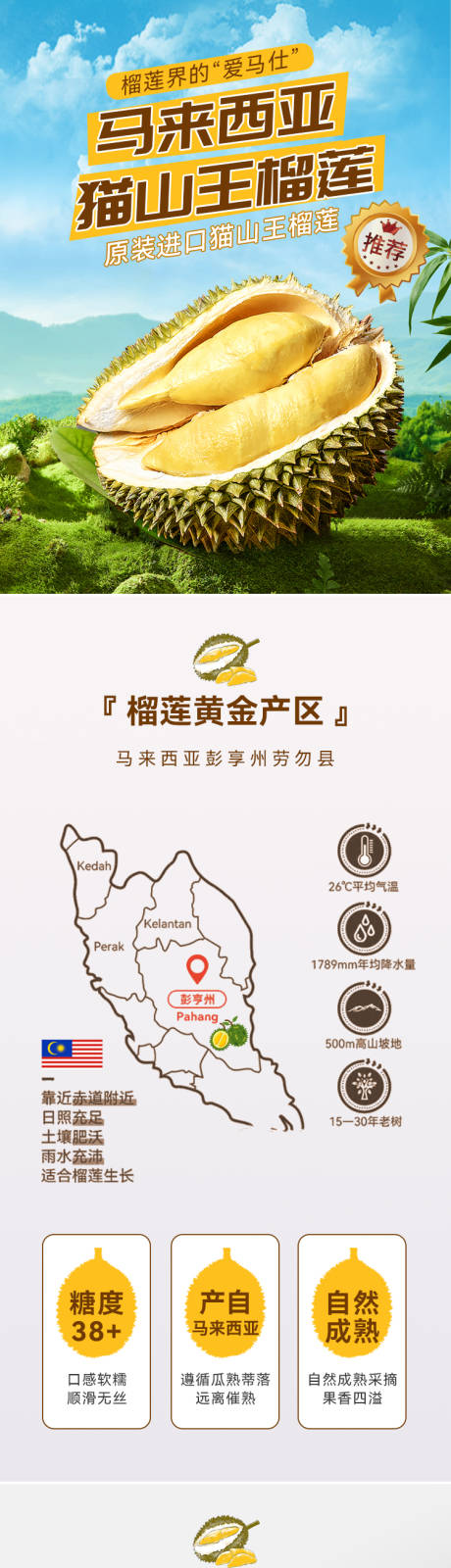 源文件下载【享设计】搜索编号：72930034564044076【猫山王榴莲产品详情页主图】