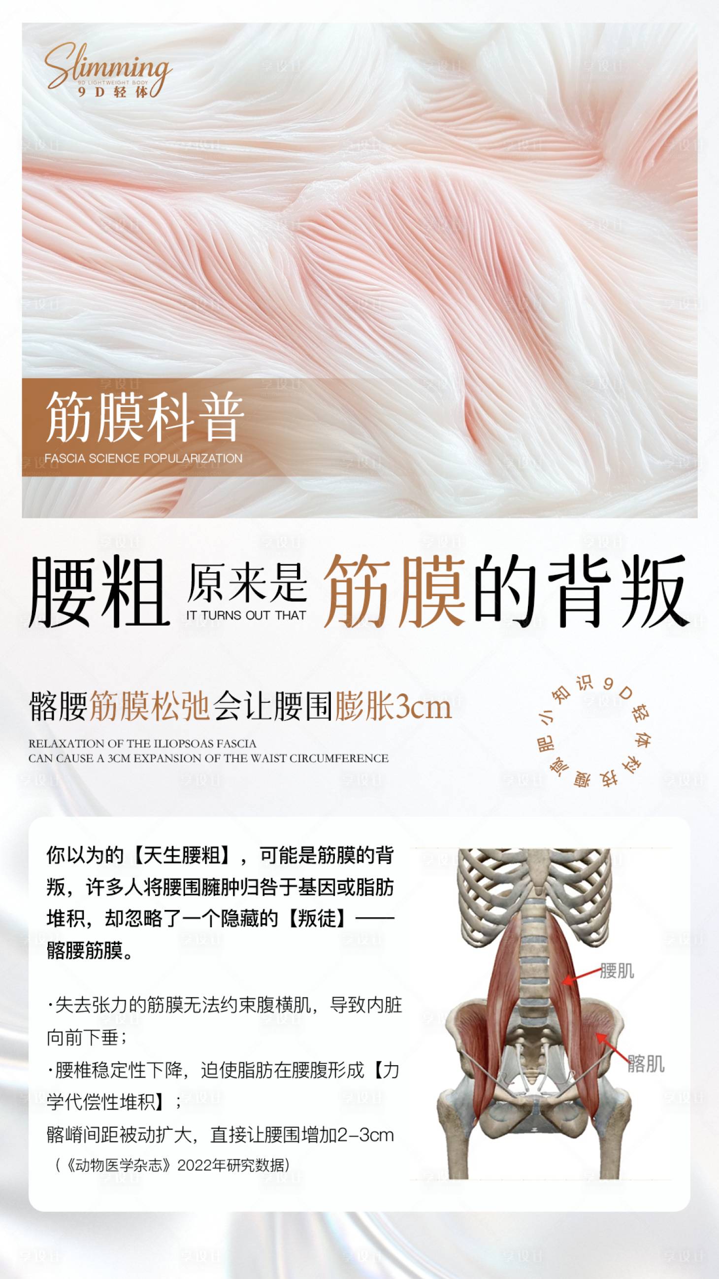 源文件下载【享设计】搜索编号：64370034317214624【减肥科普】