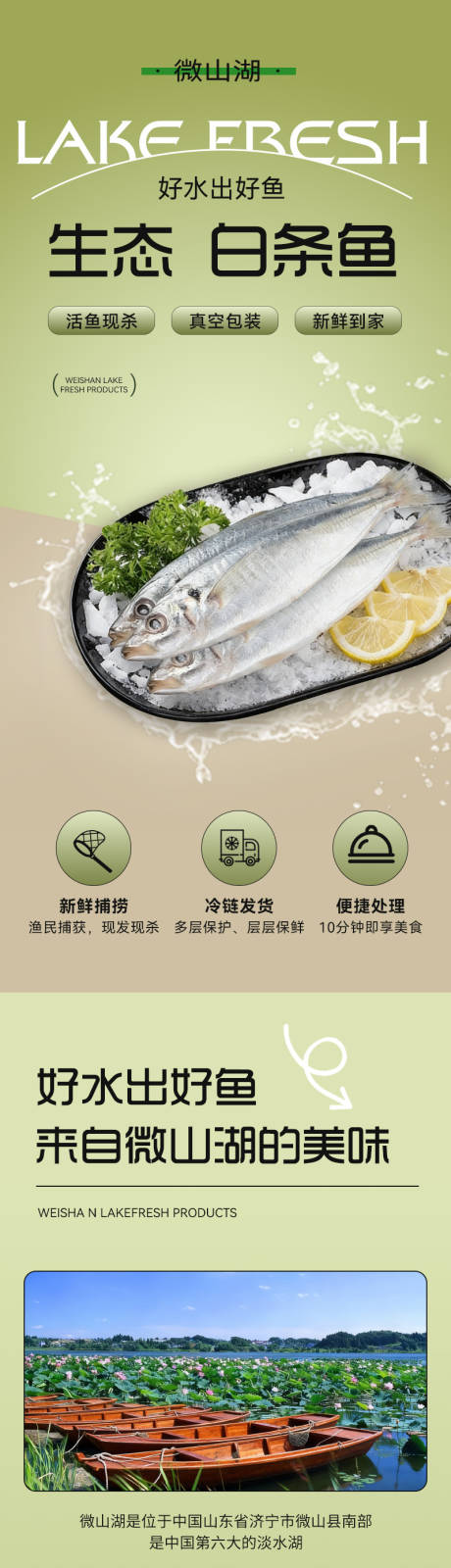 源文件下载【享设计】搜索编号：49660034754477801【白条鱼详情页】