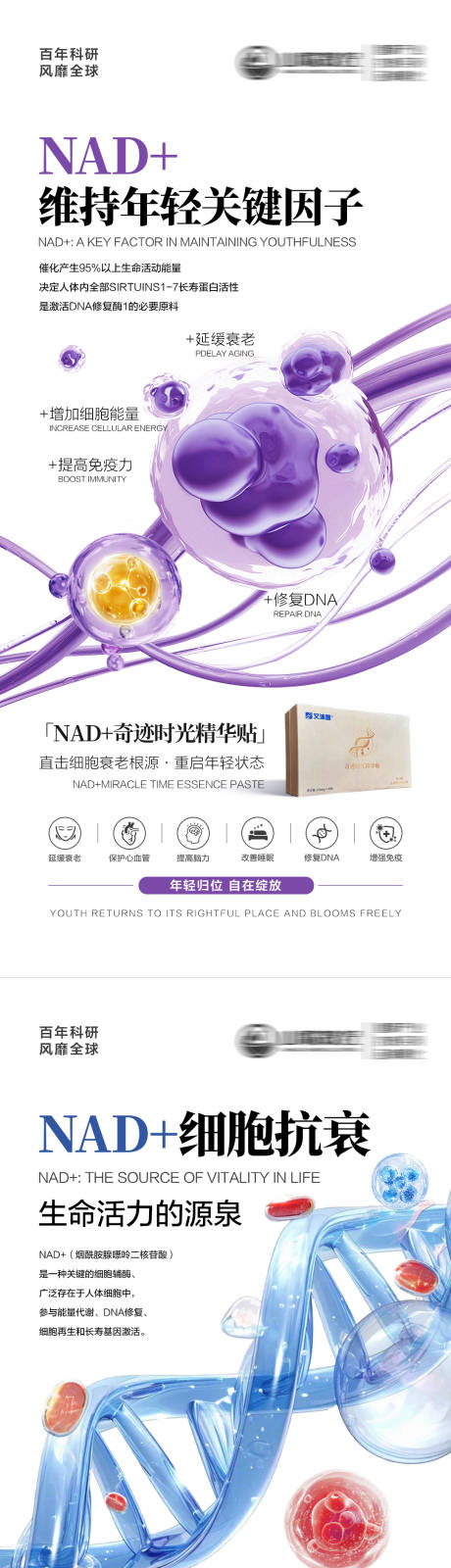 源文件下载【享设计】搜索编号：95970034422932951【NAD+细胞抗衰】