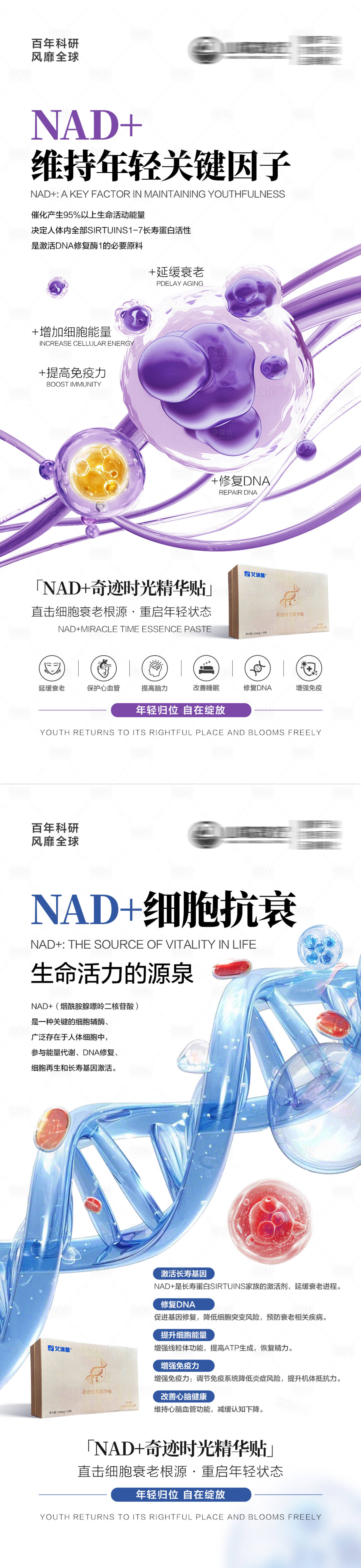 源文件下载【享设计】搜索编号：95970034422932951【NAD+细胞抗衰】