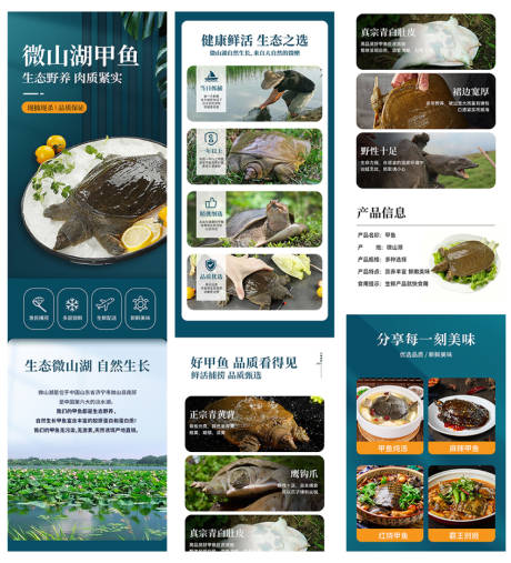 源文件下载【享设计】搜索编号：62430034488222009【甲鱼详情页】