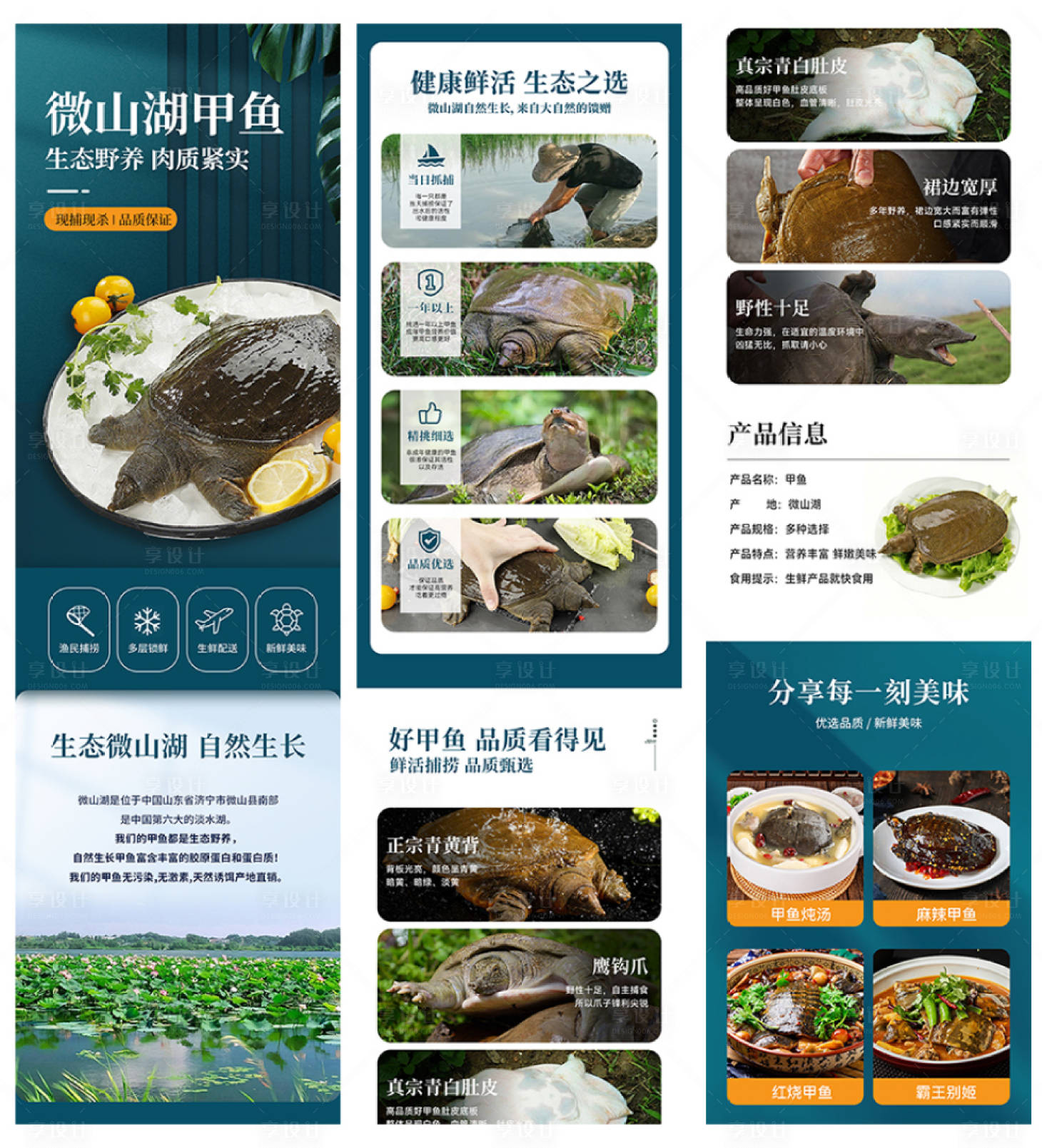 源文件下载【享设计】搜索编号：62430034488222009【甲鱼详情页】