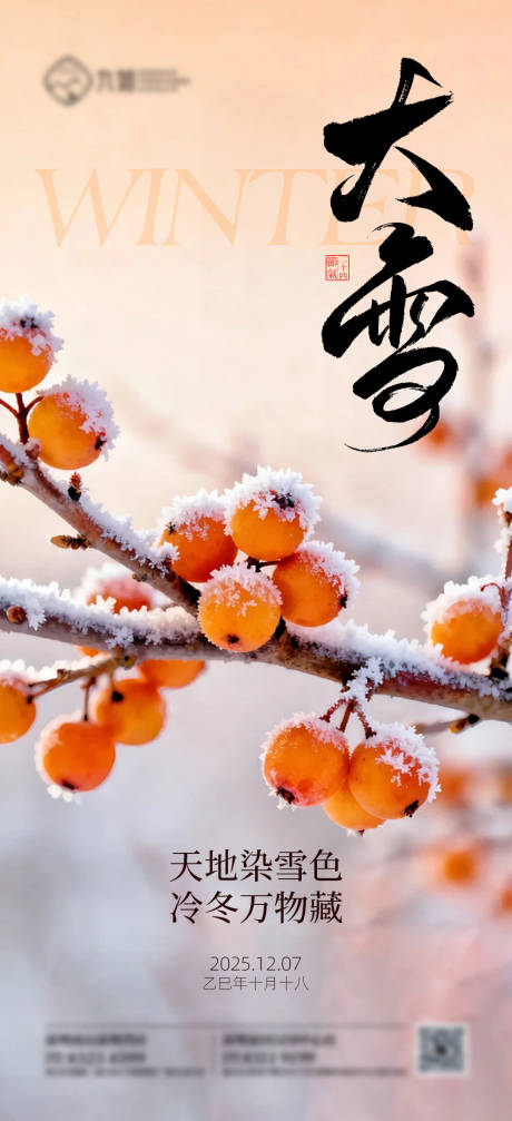 源文件下载【享设计】搜索编号：59780034442523871【大雪海报】