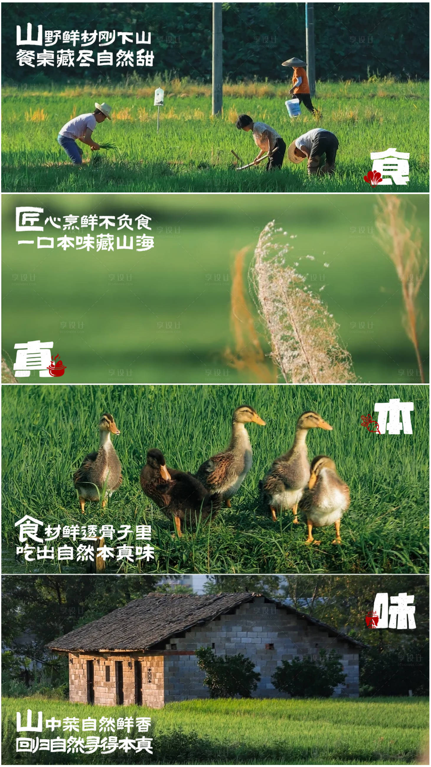 源文件下载【享设计】搜索编号：36230034340418487【山野食材美食海报】