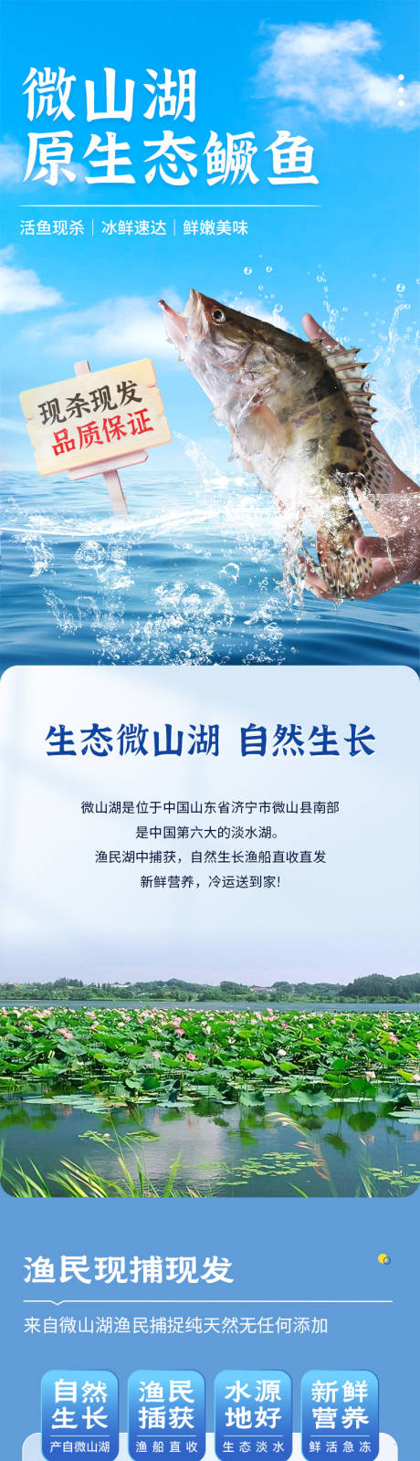 源文件下载【享设计】搜索编号：64080034638001555【鳜鱼鱼详情页】