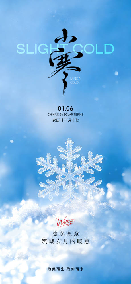 源文件下载【享设计】搜索编号：34990034777234871【医美二十四节气海报】