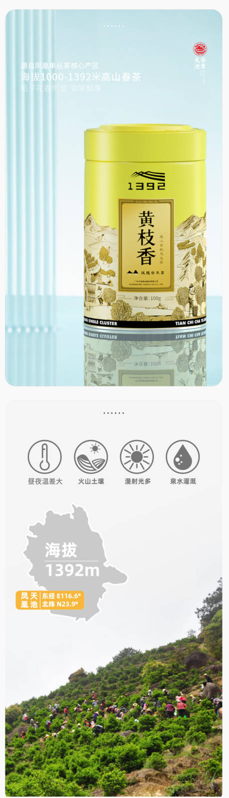 源文件下载【享设计】搜索编号：20530034376478944【天池茶叶详情页】