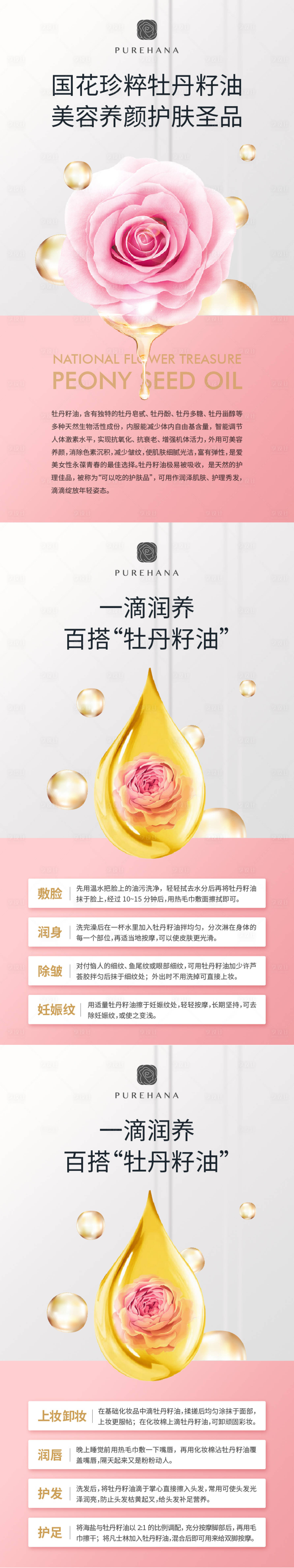 源文件下载【享设计】搜索编号：30600034605624235【化妆品牡丹籽油科普系列海报】